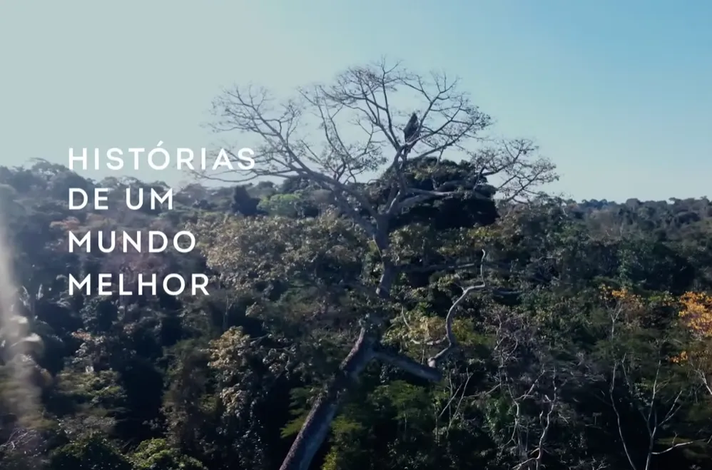 Documentário