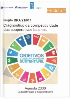  Coops Competitivas e Sustentáveis - Diagnóstico
