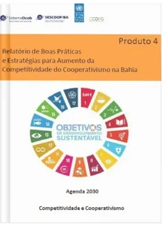 Coops Competitivas e Sustentáveis - Relatório de Boas Práticas e Estratégias